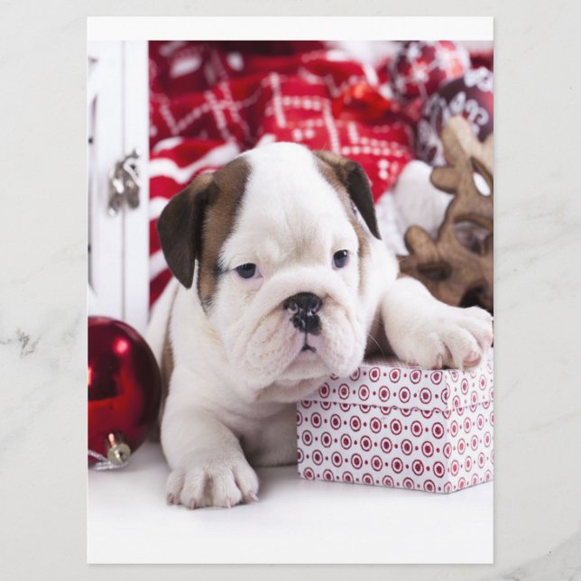 Niedlich Puppy English Bulldog | Weihnachten Menükarte (Vorderseite)