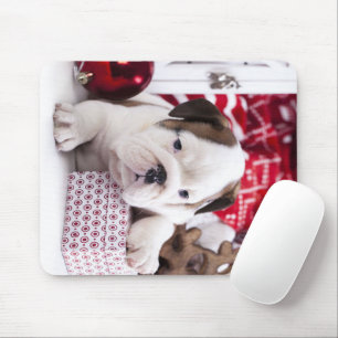 Niedlich Puppy English Bulldog   Weihnachten Mousepad