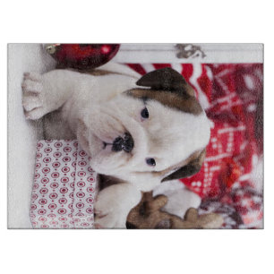 Niedlich Puppy English Bulldog Weihnachten Schneidebrett