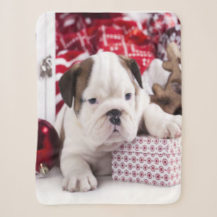 Niedlich Puppy English Bulldog Weihnachten Sherpadecke