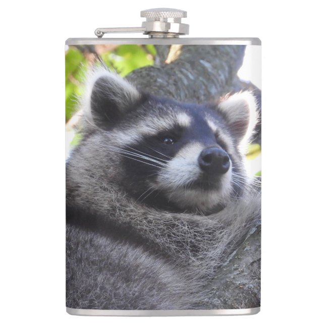 Niedlich Raccoon Nah UP Flachmann (Vorderseite)