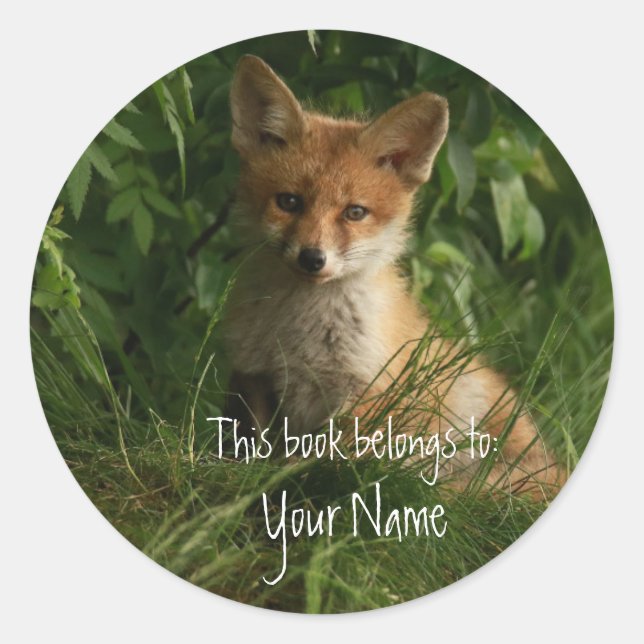 Niedlich Red Fox, Dieses Buch gehört Buchzeichen Runder Aufkleber (Vorderseite)