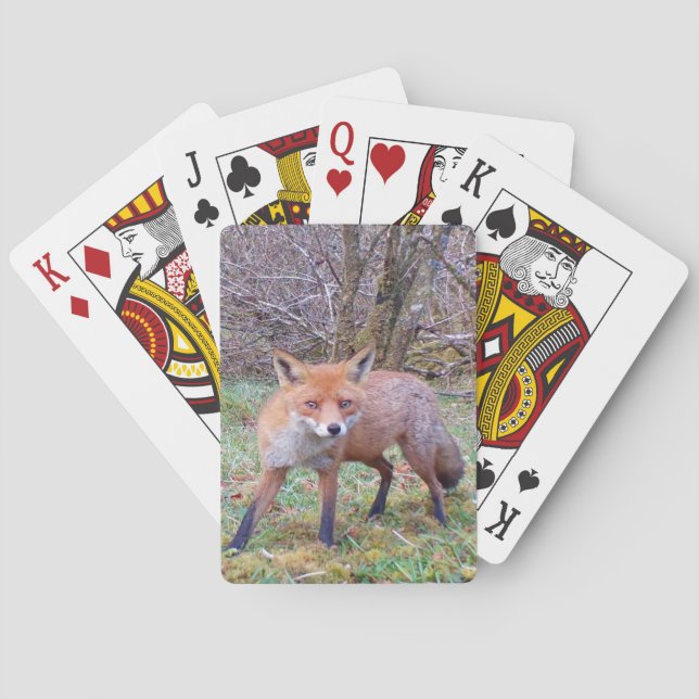 Niedlich Red Fox Spielkarten (Rückseite)