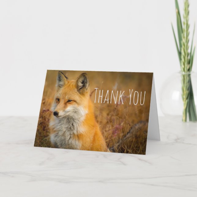 Niedlich Red Fox Wild Nature Fotografy Vielen Dank Karte (Vorderseite)