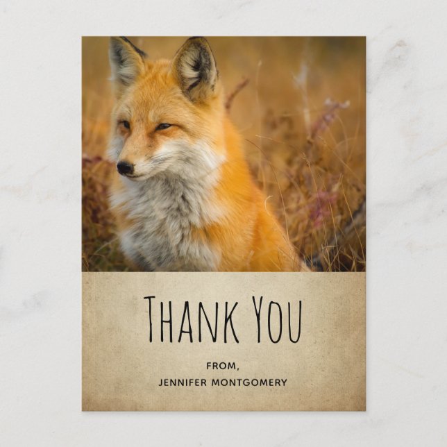 Niedlich Red Fox Wilderness Nature Foto Vielen Dan Postkarte (Vorderseite)