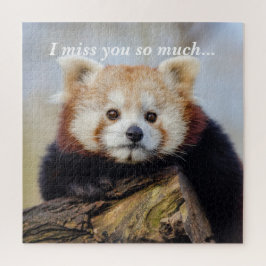 Niedlich Red Panda Miss Sie so viel