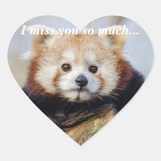 Niedlich Red Panda Miss Sie so viel Herz-Aufkleber (Vorderseite)