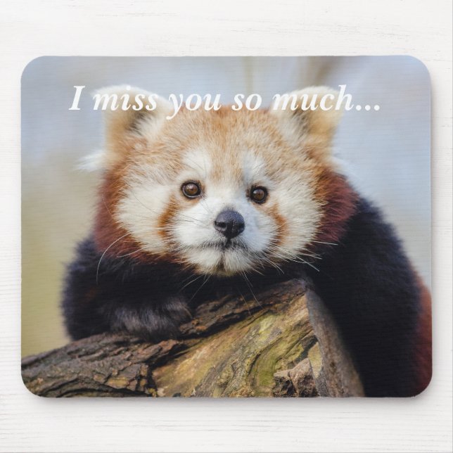 Niedlich Red Panda Miss Sie so viel Mousepad (Vorne)