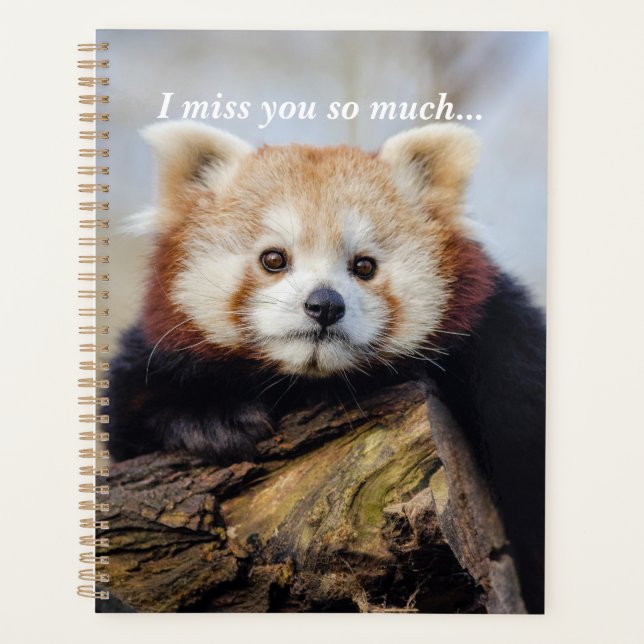 Niedlich Red Panda Miss Sie so viel Planer (Vorderseite)