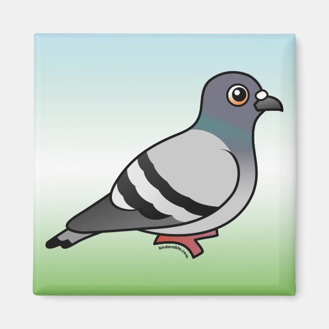 Niedlich Rock Pigeon Magnet (Vorne)