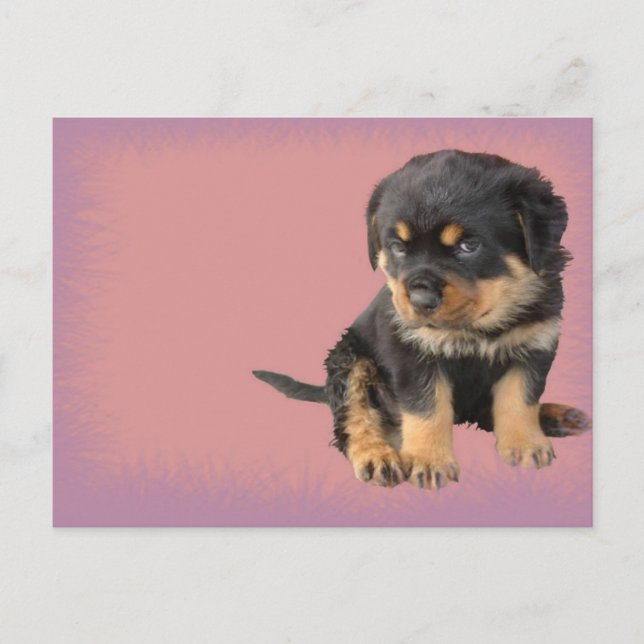 Niedlich Rottweiler Geburtstag Postkarte (Vorderseite)