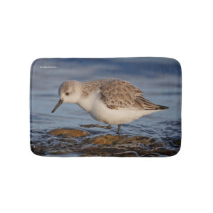 Niedlich Sanderling Sandpiper Walking Winter Beach Badematte