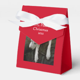 Niedlich Schlafen Friedlicher Welpen Weihnachten Geschenkschachtel