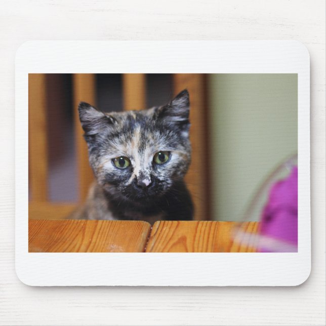 Niedlich Schwarz-Weiß-Kitten Mousepad (Vorne)