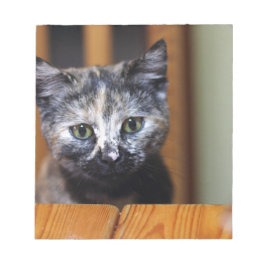 Niedlich Schwarz-Weiß-Kitten Notizblock