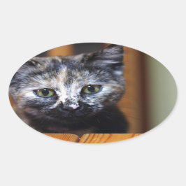 Niedlich Schwarz-Weiß-Kitten Ovaler Aufkleber