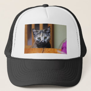 Niedlich Schwarz-Weiß-Kitten Truckerkappe