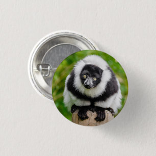 Niedlich Schwarz-Weiß-Lemur Button