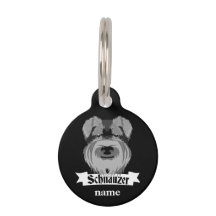 Niedlich Schwarz-Weiß-Schnauzer