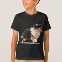 Niedlich Sheltie Shetland Sheepdog Agility Dog Spo