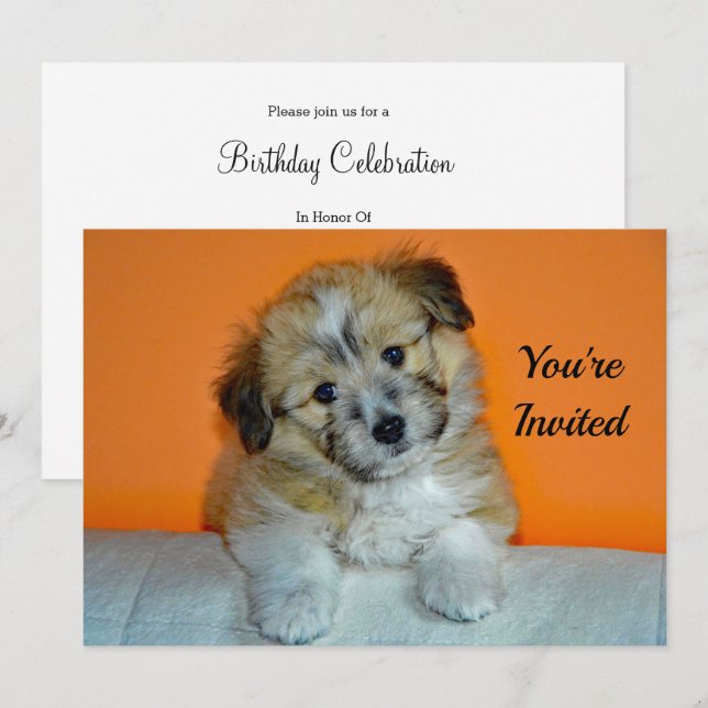 Niedlich Sheltie Welpe Foto Geburtstag Einladung (Vorne/Hinten)
