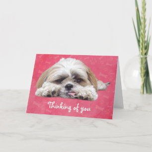 Niedlich Shih Tzu Puppy: Denken Sie an Sie Karte