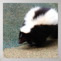 Niedlich Skunk Poster