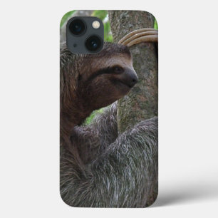 Niedlich Sloth title_seo2