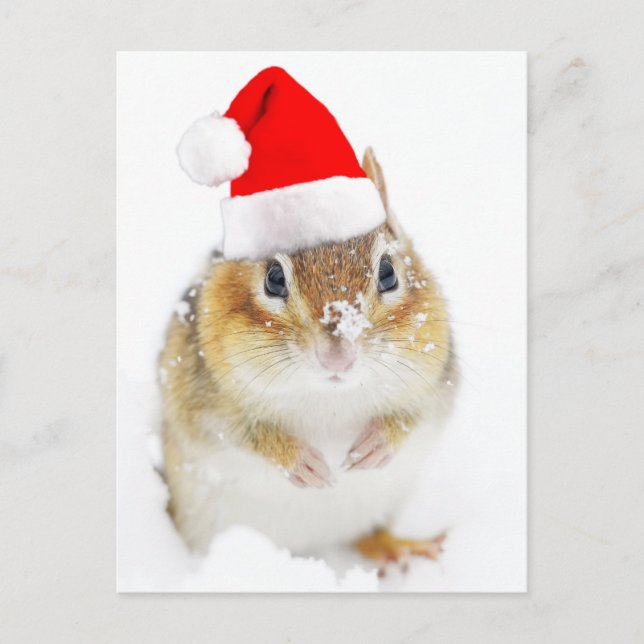 Niedlich Snowy Santa Chipmunk Feiertagspostkarte (Vorderseite)