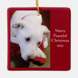 Niedlich Snowy White Puppy Dog Keramik Keramikornament
