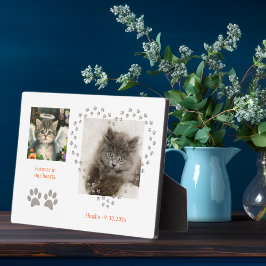 Niedlich Soft Kitten Angel Fotoplatte