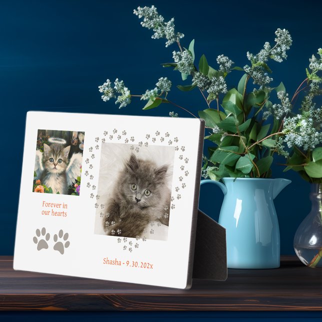 Niedlich Soft Kitten Angel Fotoplatte (Von Creator hochgeladen)