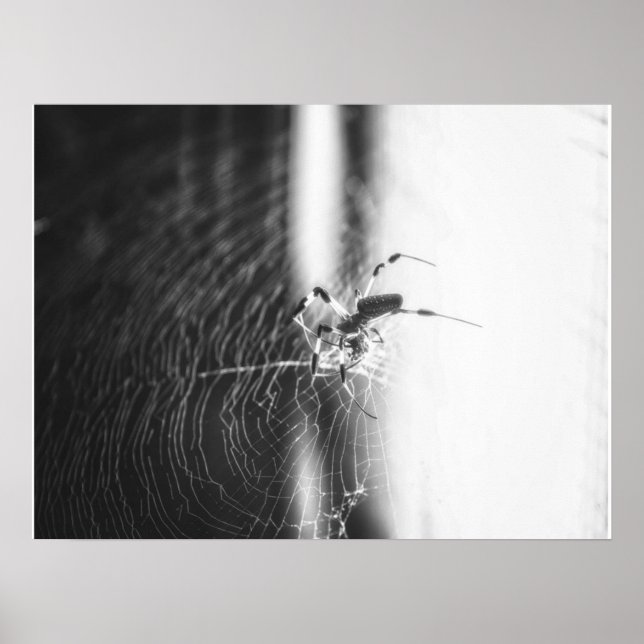 Niedlich Spider Tangled Weave | Spider Lover Gesch Poster (Vorne)