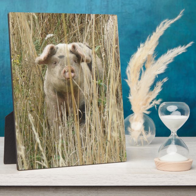 Niedlich Spotty Pig Plaque Fotoplatte (Seite)