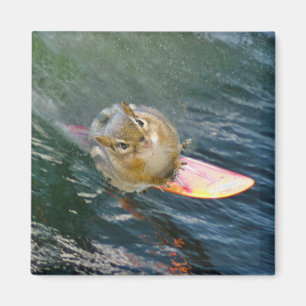 Niedlich Surfen Chipmunk Magnet