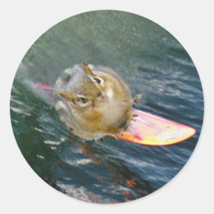 Niedlich Surfen Chipmunk Runder Aufkleber
