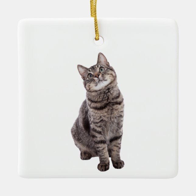 Niedlich Tabby Cat Keramikornament (Vorderseite)