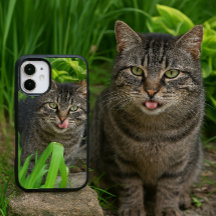 Niedlich Tabby Cat Kiss