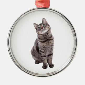 Niedlich Tabby Cat Ornament Aus Metall