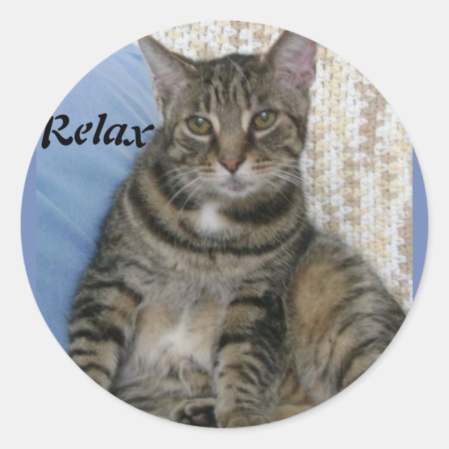 Niedlich Tabby Cat Runder Aufkleber (Vorderseite)