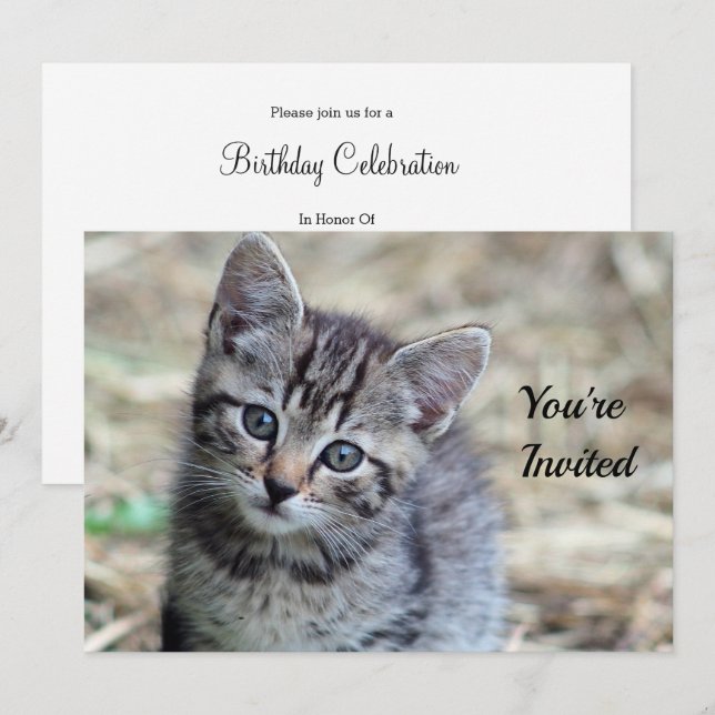 Niedlich Tabby Kitten Foto Geburtstag Einladung (Vorne/Hinten)