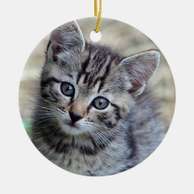 Niedlich Tabby Kitten Foto Keramik Ornament (Vorne)