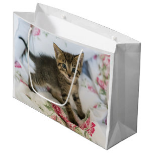 Niedlich Tabby Kitten sieht überraschend aus Große Geschenktüte