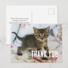 Niedlich Tabby Kitten sieht überraschend aus Postkarte