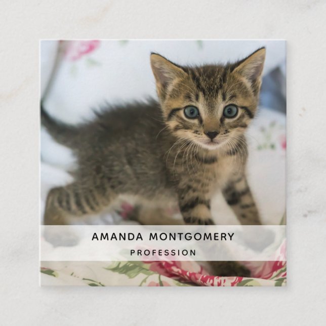 Niedlich Tabby Kitten sieht überraschend aus Quadratische Visitenkarte (Vorderseite)