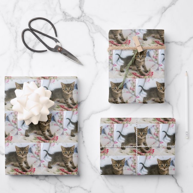 Niedlich Tabby Kitten sieht überraschend Gemustert Geschenkpapier Set (Vorderseite)
