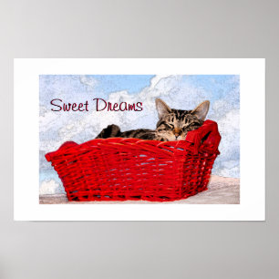 Niedlich Tabby Schlafen Kitten Red Basket Foto Poster