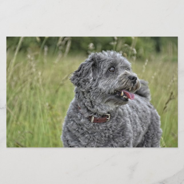 Niedlich Terrier Dog Briefpapier (Vorderseite)
