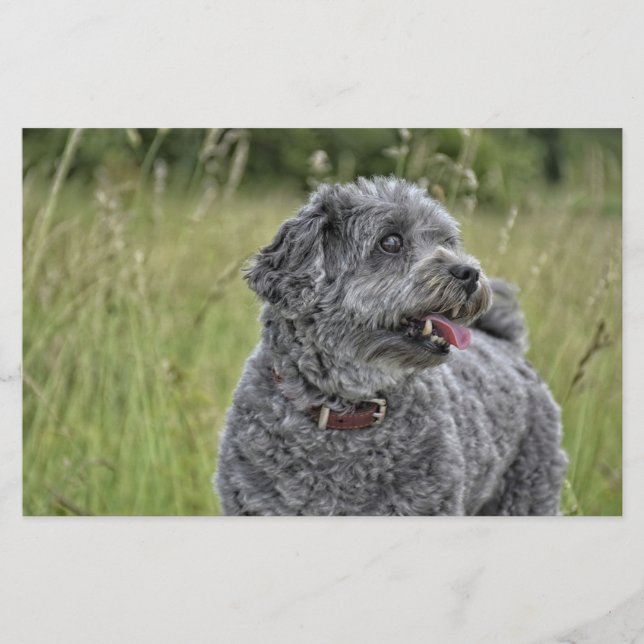 Niedlich Terrier Dog Briefpapier (Vorderseite)