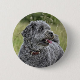 Niedlich Terrier Dog Button